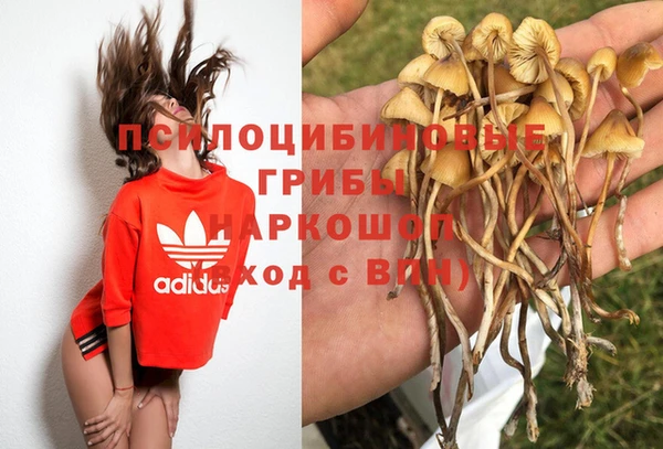 стафф Кинешма