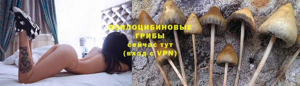стафф Кинешма