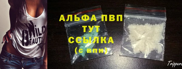 стафф Кинешма