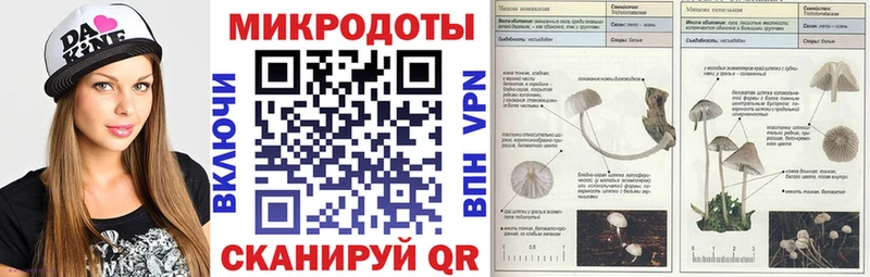 Купить  Чекалин  Галлюциногенные грибы прущие грибы 